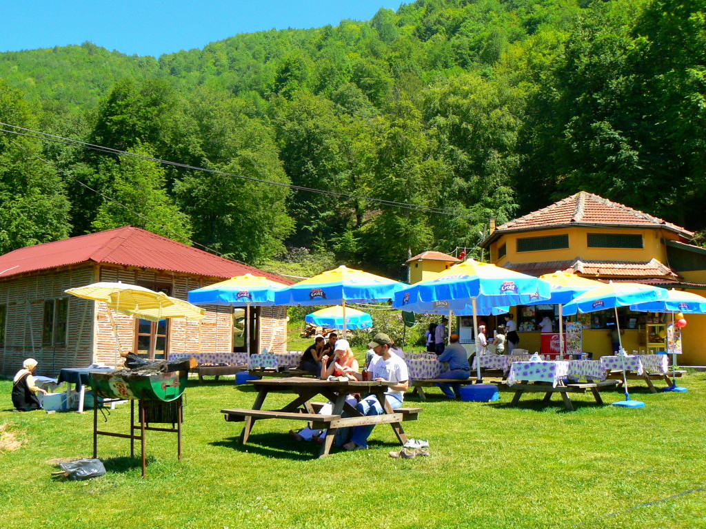 Picnic area 1